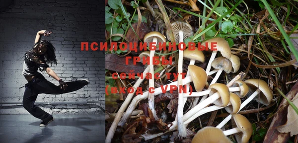 ECSTASY Верхний Тагил
