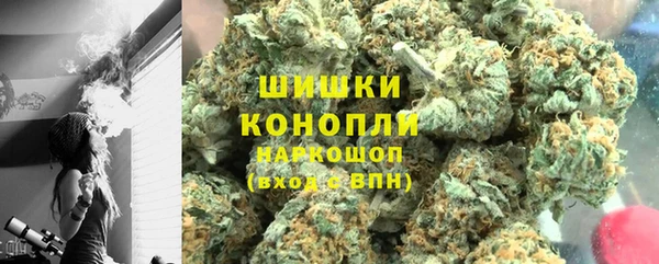 твердый Бородино