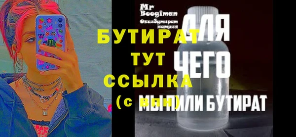 твердый Бородино