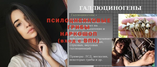 твердый Бородино