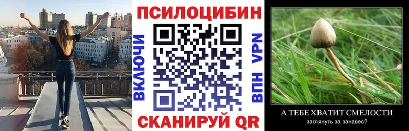 Псилоцибиновые грибы мицелий Гусев